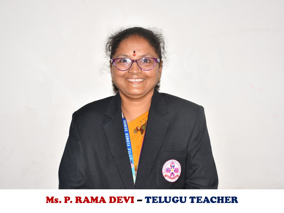 Teacher 